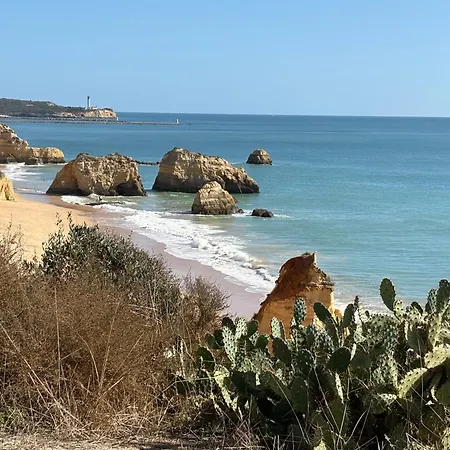 Ocean Studio- Pet Friendly Apartamento