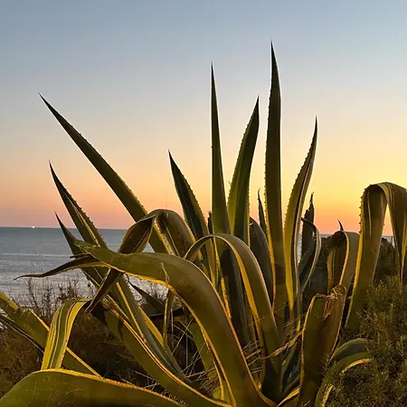 Ocean Studio- Pet Frendly Portimao